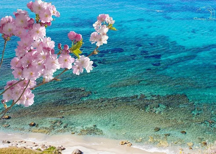 Residenza Dama 4* Ricadi