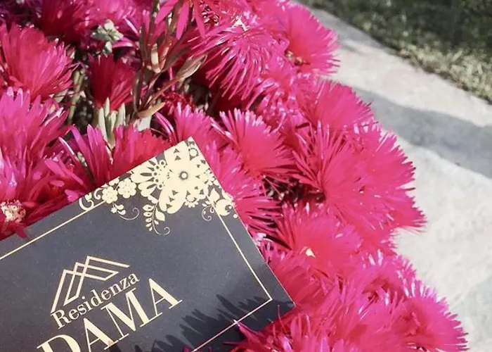 Residenza Dama 里卡迪